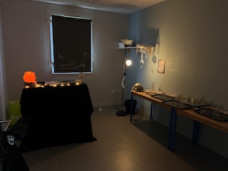 Halloween ACCES 31 - 4